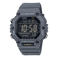 CASIO AE-1600H-8BV